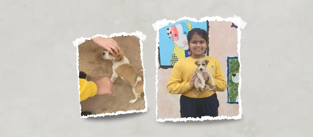 Project Comfurt & Community Comfort