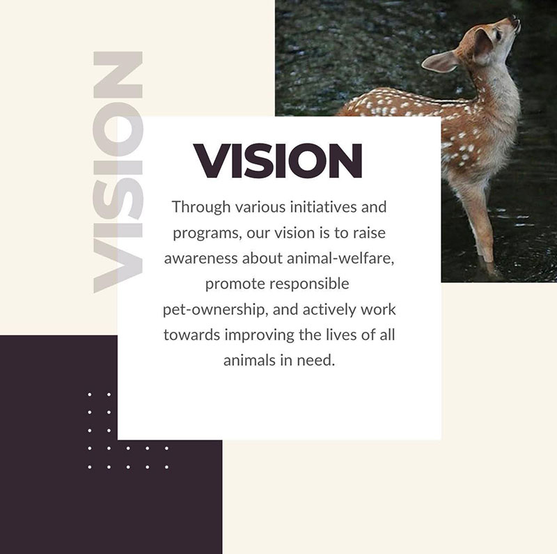 Vision and Mission