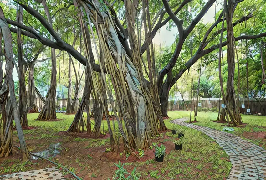  All Under the Mighty Banyan