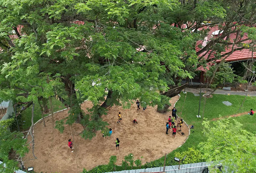  All Under the Mighty Banyan