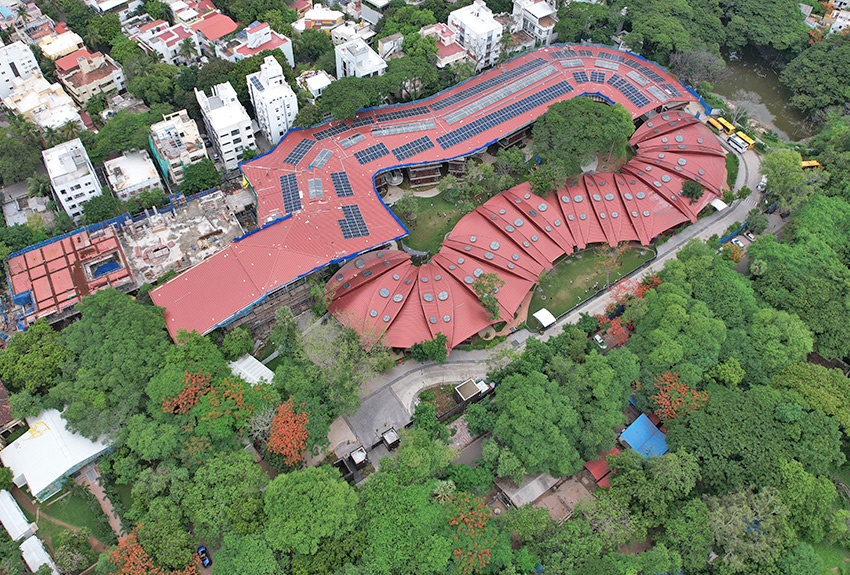  All Under the Mighty Banyan