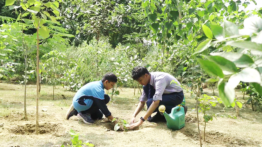 Nature Connection Benefit Children?