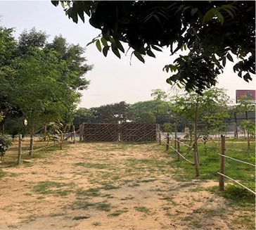 making of Shiv Nadar School Forest