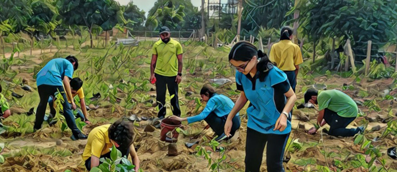 Making of Shiv Nadar School Forest