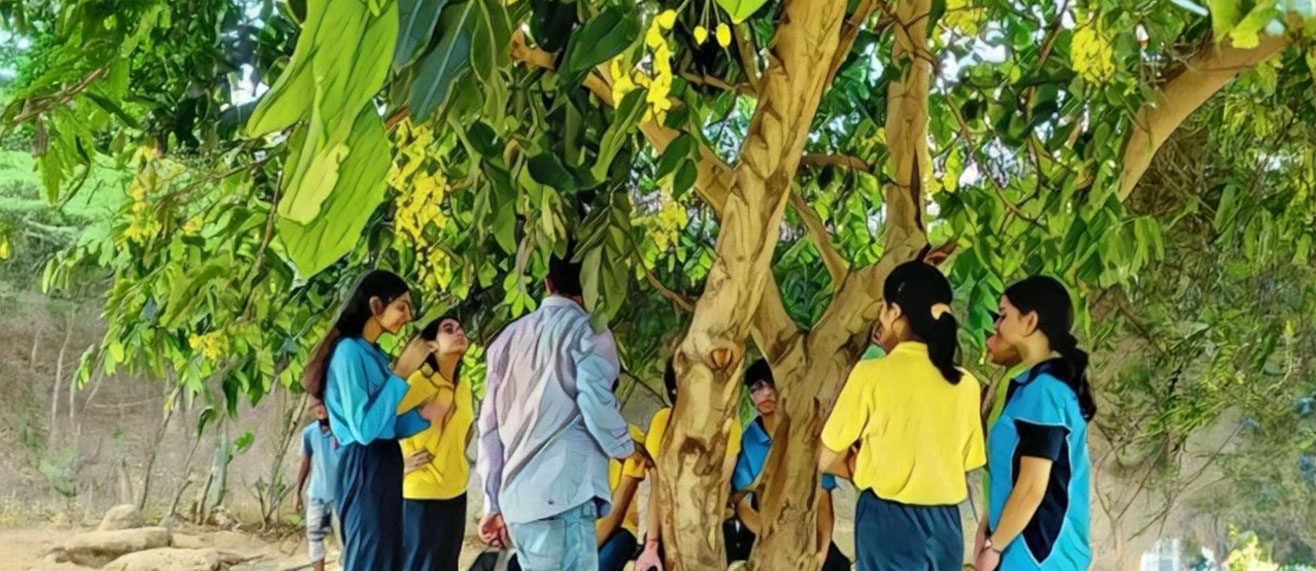 Nature Connection Benefit Children?