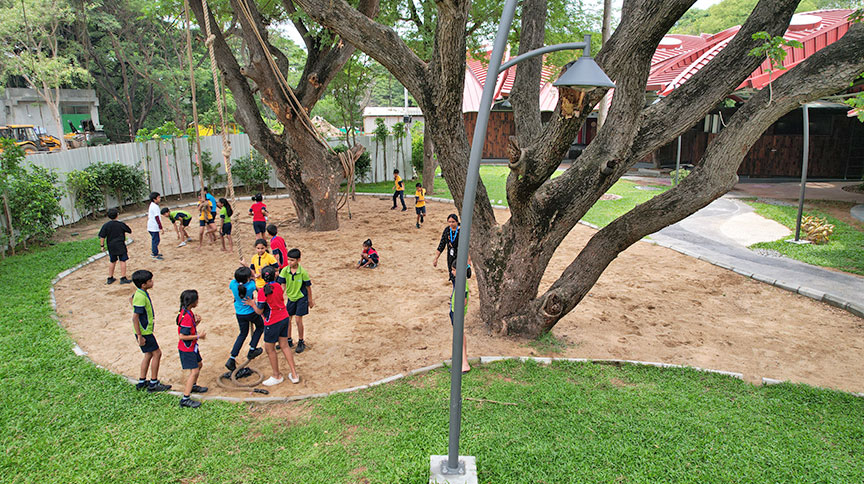 Nature Connection Benefit Children?