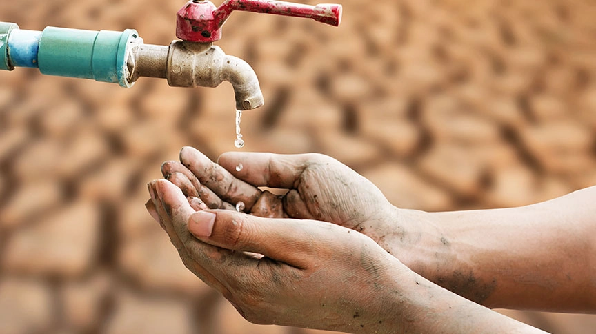 Unprecedented heatwaves have also gripped vast regions of the world